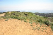 Enlarge photo 44