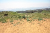 Enlarge photo 45
