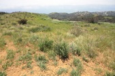 Enlarge photo 48