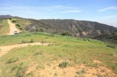 Enlarge photo 51
