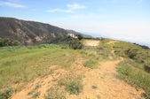 Enlarge photo 52