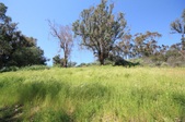 Enlarge photo 18