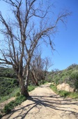 Enlarge photo 26