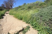 Enlarge photo 33