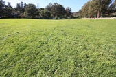 Enlarge photo 35