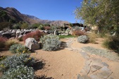 Enlarge photo 41