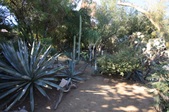 Enlarge photo 25