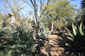 Enlarge photo 26