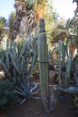 Enlarge photo 27
