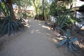 Enlarge photo 30