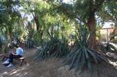 Enlarge photo 31