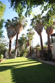 Enlarge photo 33
