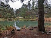 Enlarge photo 25