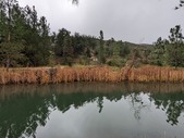 Enlarge photo 27
