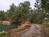 Enlarge photo 31