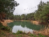 Enlarge photo 32