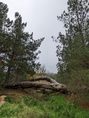Enlarge photo 33