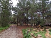 Enlarge photo 34