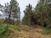 Enlarge photo 35