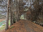 Enlarge photo 37