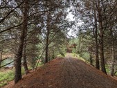 Enlarge photo 38