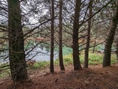 Enlarge photo 39