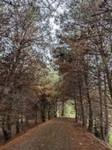 Enlarge photo 40