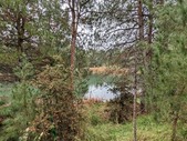 Enlarge photo 41