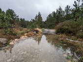 Enlarge photo 43