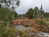 Enlarge photo 44