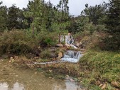Enlarge photo 45