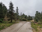 Enlarge photo 46