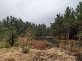 Enlarge photo 47