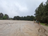Enlarge photo 52