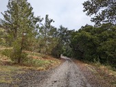 Enlarge photo 1
