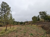 Enlarge photo 25