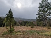 Enlarge photo 27