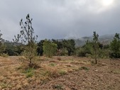 Enlarge photo 32