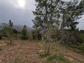 Enlarge photo 33