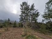 Enlarge photo 34