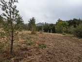 Enlarge photo 35