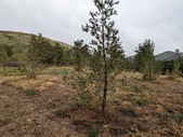 Enlarge photo 36