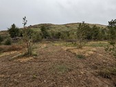 Enlarge photo 37