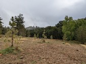 Enlarge photo 38
