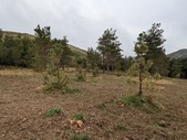 Enlarge photo 39