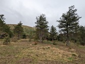 Enlarge photo 40