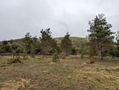 Enlarge photo 41