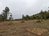 Enlarge photo 42