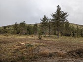 Enlarge photo 43