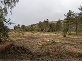 Enlarge photo 44